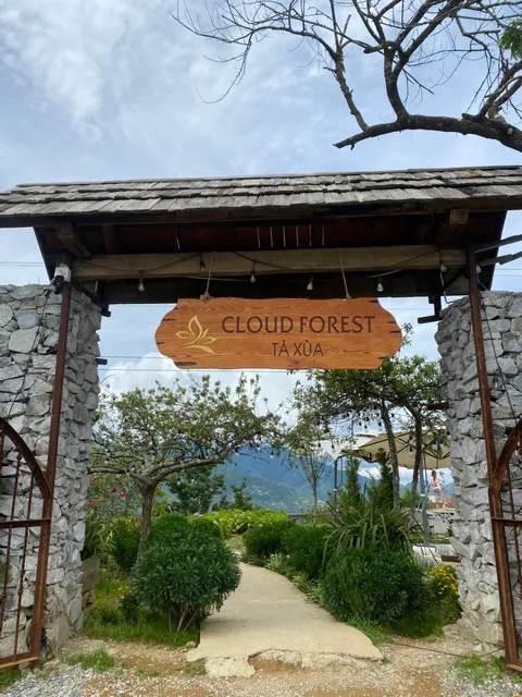 Cloud Forest Tà Xùa