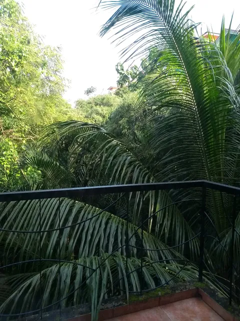 Anoop Jo's Luxury Stay