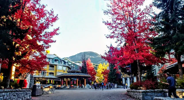 Whistler Village Stroll