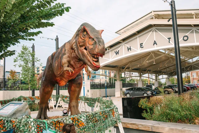 Downtown Wheaton Association