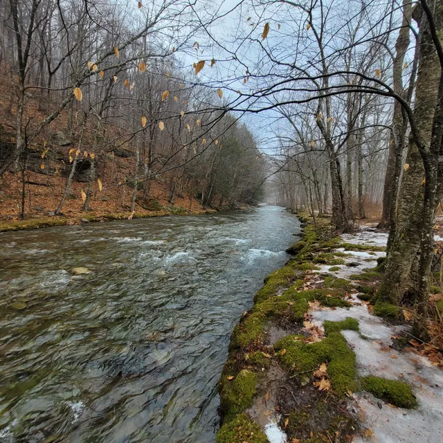 Sundown Wild Forest Peekamoose Campground Parking