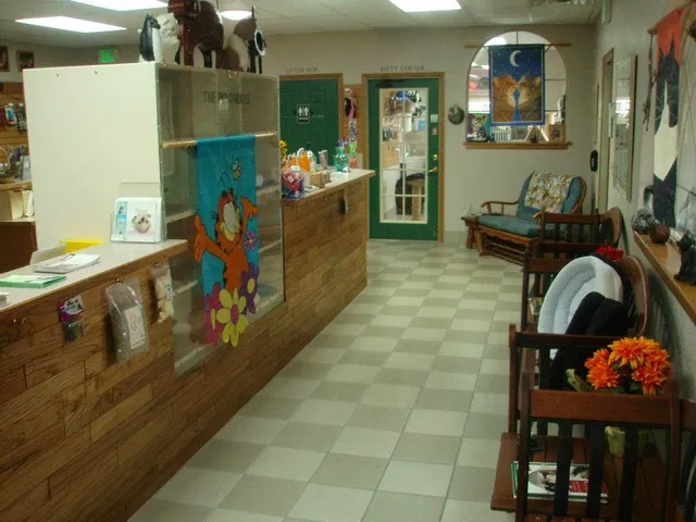 Castle Rock Cat Hospital