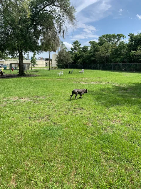 Dog Park