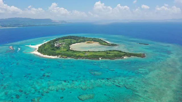 マリンショップ ナチュラル