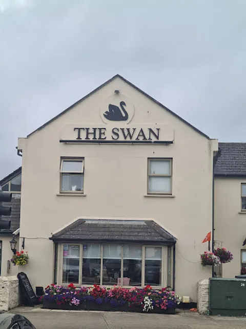 The Swan