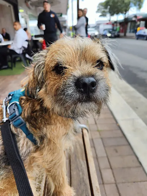 7th Heaven Cafe Sutherland