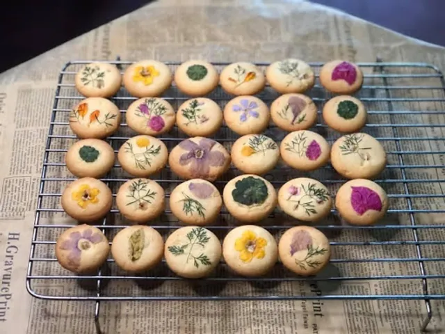 Turtle Bay & SEA Harmony Eco Luxe