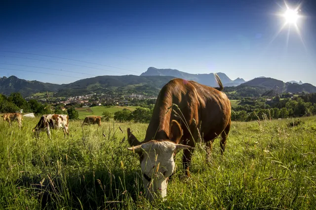 Belaze Bisitak - Visitas experienciales en Elorrio