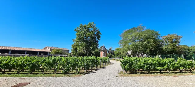 Château Marquis de Terme Tourisme