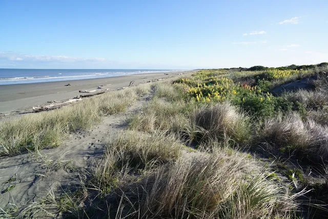 Te Horo Beach