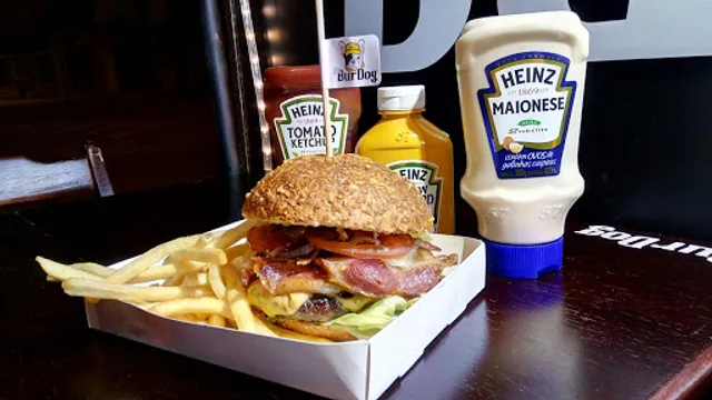 Mr. Burdog Burger & Dog