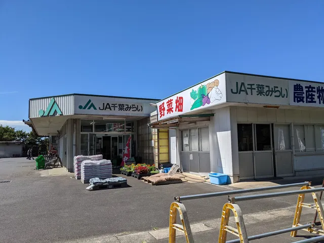 JA Chibamirai Vegetable Farm