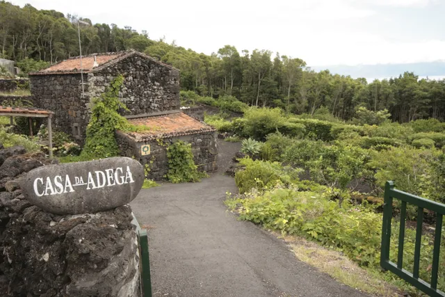 Casa da Adega