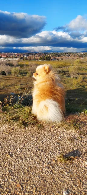 Bosque Metropolitano