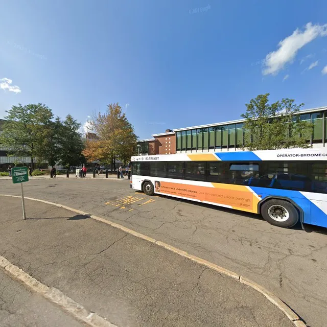 Shake Smart Binghamton