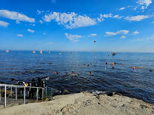 Casino Point Dive Park