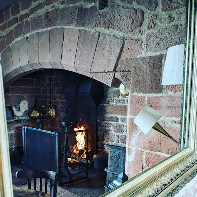 À l'ombre du figuier