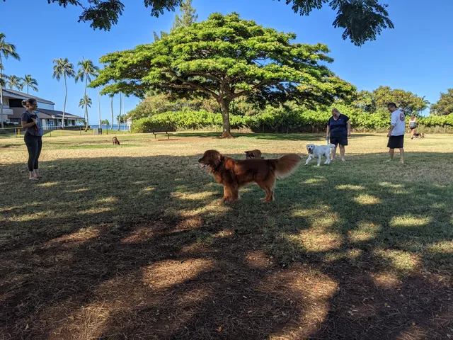 Elaine Dobashi Dog Park