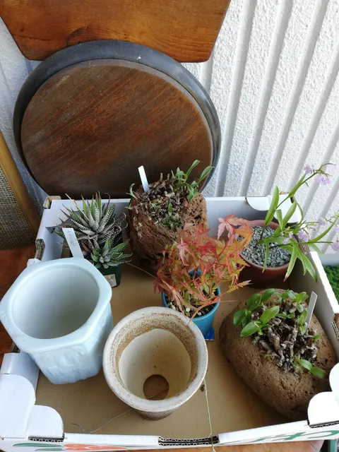 JAかもと 夢大地 食菜館