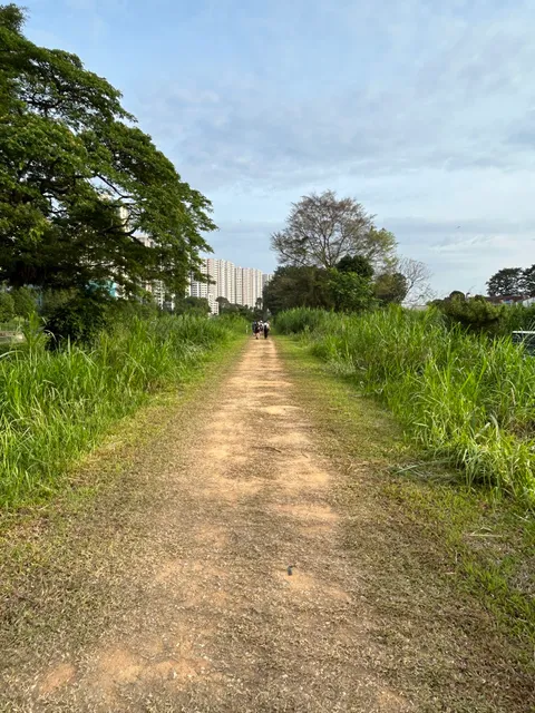 Rail Corridor Access (Sungei Kadut)