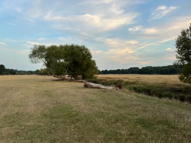 Kingston Gate, Richmond Park