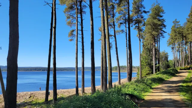 Kielder Water & Forest Park