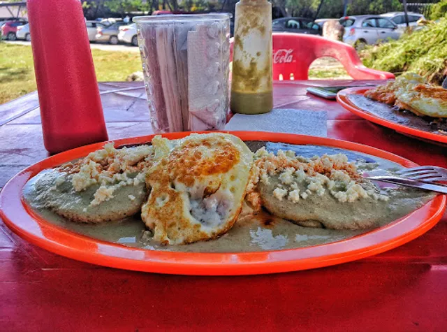 Doña Anita - Enchiladas Veracruzanas