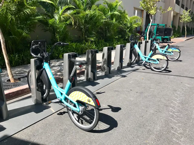 Biki Station 310 - Paoa Place & Kalia Road