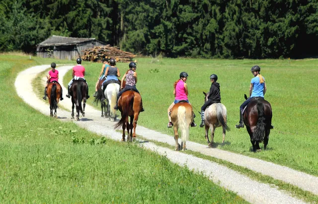 Reiterhof Stöglehner