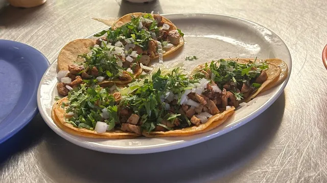 MR TACO AND TEQUILA BAR 2