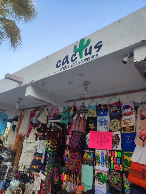 Cactus Crafts and Souvenirs