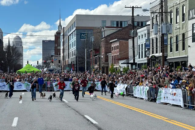 NuLu Bock Fest & Wurst Fest
