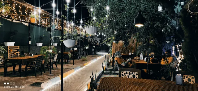 Funky Monkey Cafe& Garden Restaurant