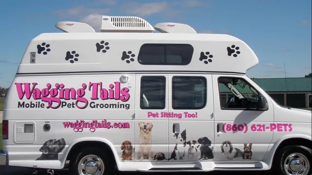 Wagging Tails Animal Daycare & Pet Spaw | Cat & Dog Boarding CT - Cat & Dog Grooming CT