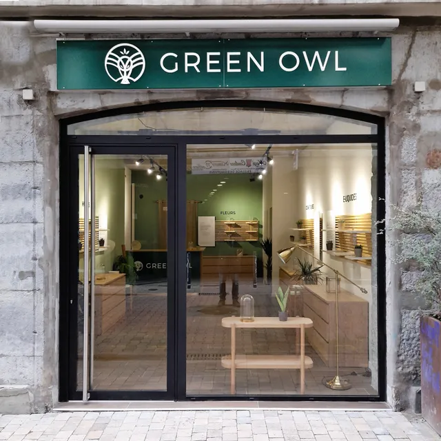 Green Owl