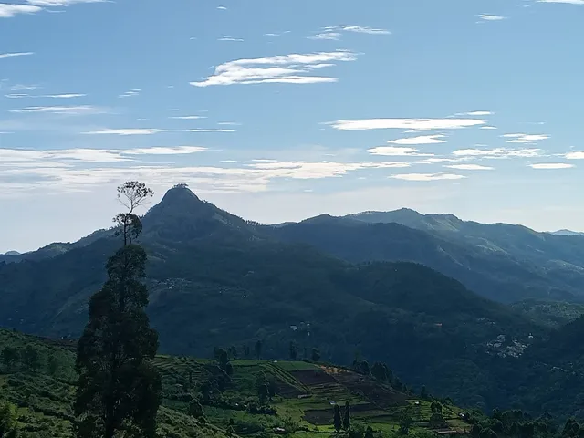 PLMN Travels Kodaikanal