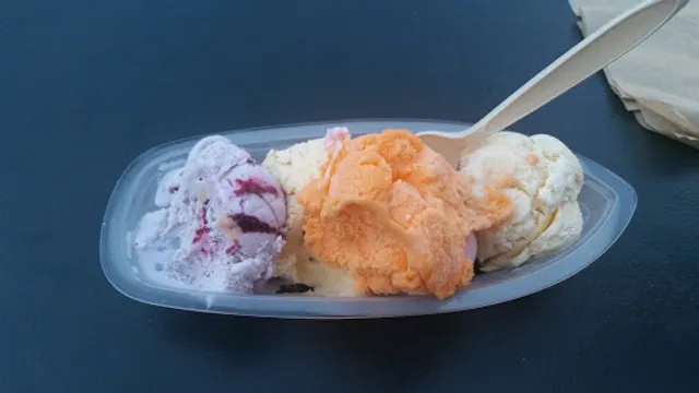 Moose Scoops Ice Cream