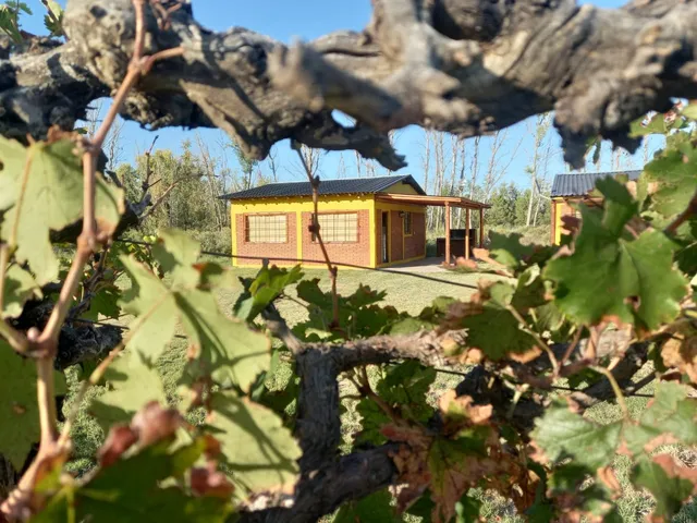 Cabañas Mora San Rafael Mendoza