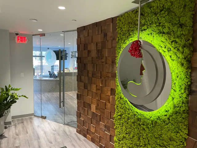 The Boston Center for Facial Plastics: Waleed H Ezzat, MD