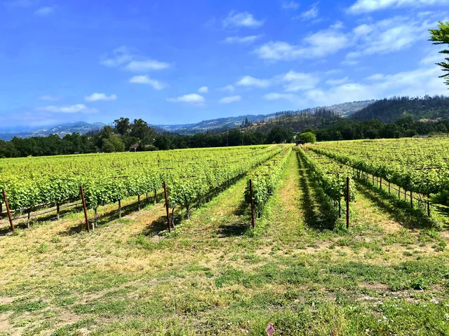 Ballentine Vineyards