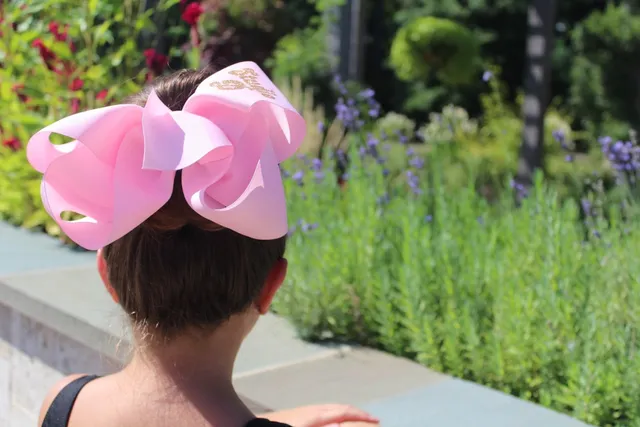 Studio D Dance Center