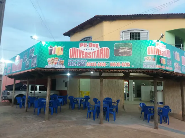 Pit Dog Universitário