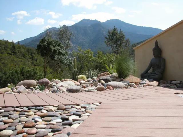 L'Oliveraie du Fango