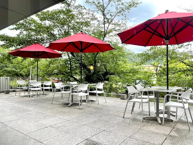 cafe de 505 - The National Museum of Modern Art, Kyoto