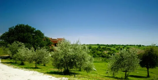 Confortevole monolocale in villa