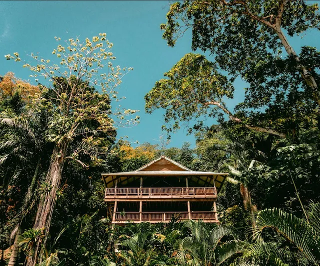 Roam Yoga & Wellness