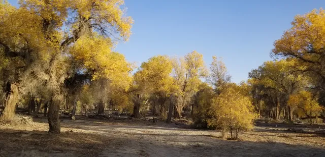 Huyanglin Posthouse Restaurant