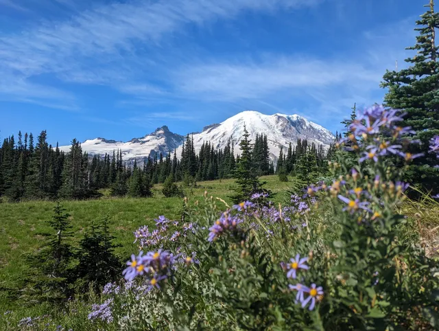 Sunrise Ranger Station