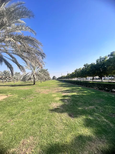 Kids play area in Al Safia Park