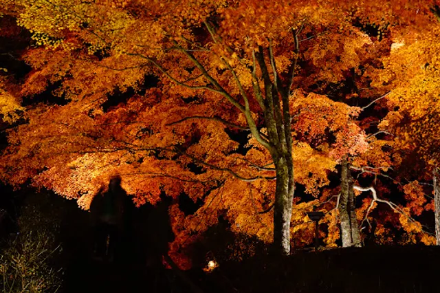 Asahigaoka Lakeside Greenspace Park